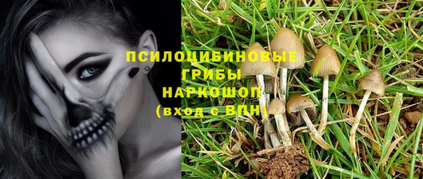 кокс Алзамай
