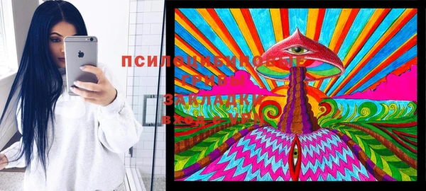 тгк Абаза