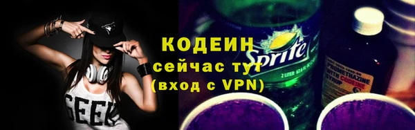 индика Дмитриев