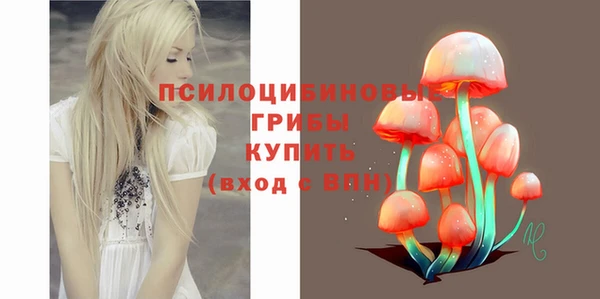 ПСИЛОЦИБИНОВЫЕ ГРИБЫ Алексин