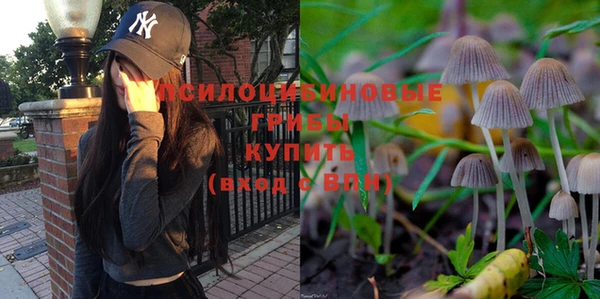 apvp Абинск