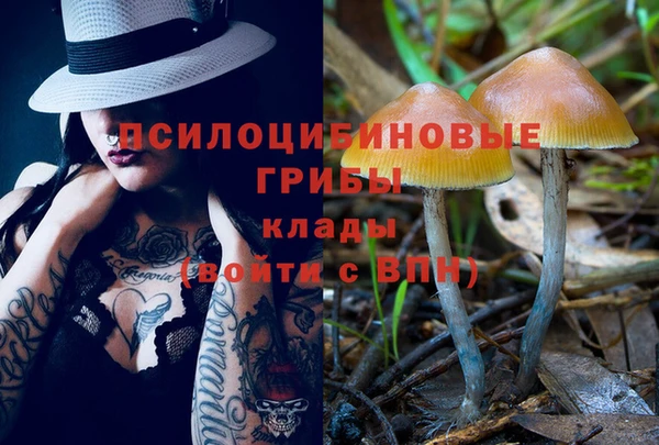 метадон Алексеевка