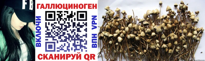 Галлюциногенные грибы мицелий  Инсар 
