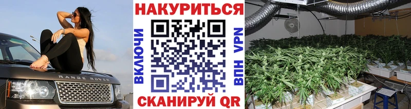 darknet состав  как найти   Инсар  Канабис MAZAR 